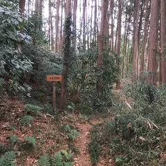 毛呂山城跡