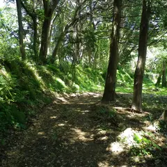 須賀山城址