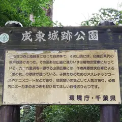 鳴戸(成東)城跡