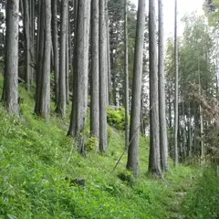 大椎城跡