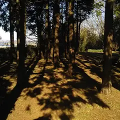 竹袋城跡