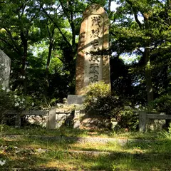 飯野平城(大館城)跡