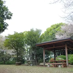 筑前・丸山城跡