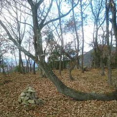 香登城跡
