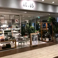 アクタス・福岡店