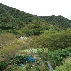 伊予宇多城跡