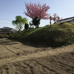 上野城跡