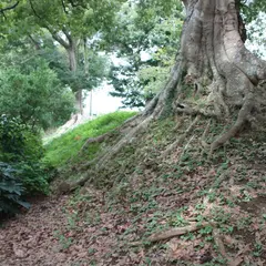 府中城跡