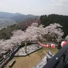周匝茶臼山城跡