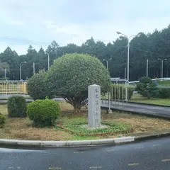 松尾城(太田城跡)跡