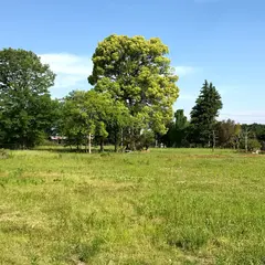 志筑城跡