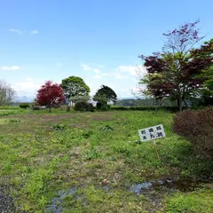 岩崎城跡