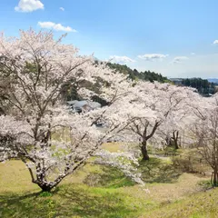 大衡城跡