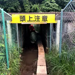 鹿渡城（鹿ケ鼻城）跡