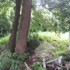 磯部城跡