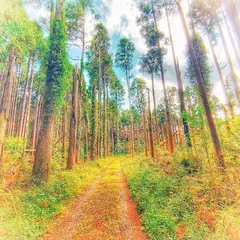 立山城跡