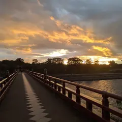 朝霧橋