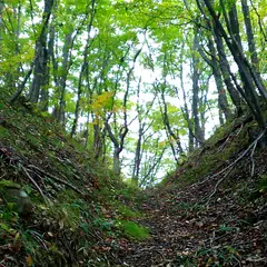 楽厳寺城跡