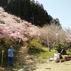 中山城跡公園