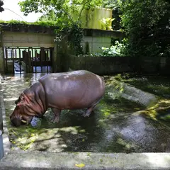 沖縄こどもの国 動物園