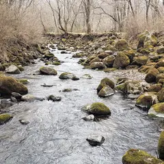 鉄山キャンプ場