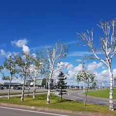 トヨタレンタカー