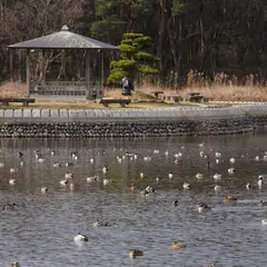 お幕場森林公園