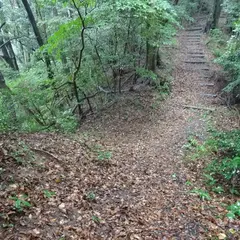 鎮西山城
