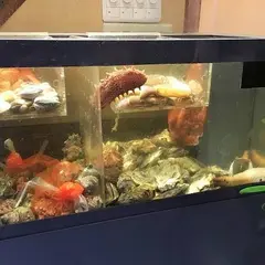 貝料理 花よし