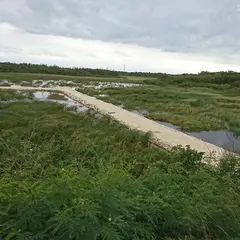 池間湿原