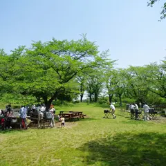 国営武蔵丘陵森林公園 野外炊飯広場