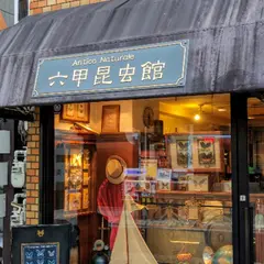 六甲昆虫館 Antico Naturale