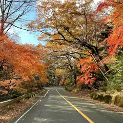 回顧園地