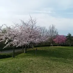 桂坂公園