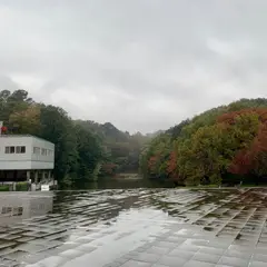 都筑中央公園 円形広場