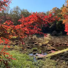 タカドヤ湿地