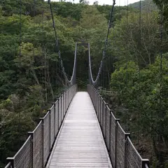 弁天吊橋
