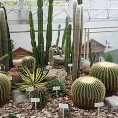 春日井市 都市緑化植物園