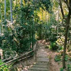美術の森緑地