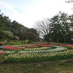 寺尾中央公園