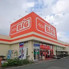 ザ・ビッグ 浜松萩丘店