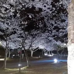 ときわ公園東駐車場