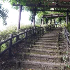 本陣山城（御嵩城）跡