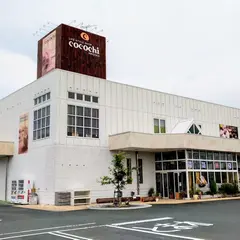 cocochi HIROOKA
