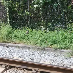 三井のリパーク由比ガ浜２丁目