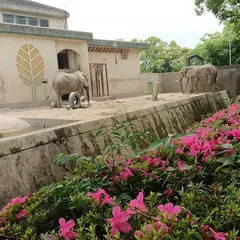 熊本市動植物園 動物園施設