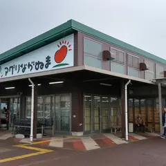 アグリながぬま