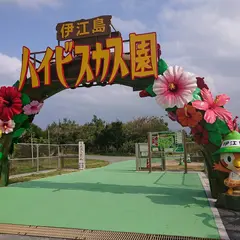 ハイビスカス園