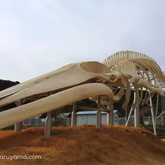 和田浦