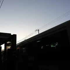 東福寺（バス）